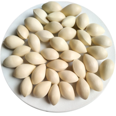 Bai Guo | Ginkgo Biloba | Ginkgo Nut |   白果