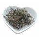 Bai Hua She She Cao | Oldenlandia |   白花蛇舌草