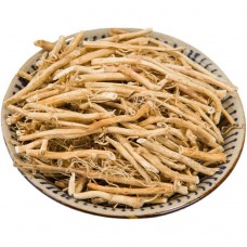Bai Qian | Cynanchum Stauntoni |   白前