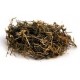 Ban Bian Lian | Lobelia | Chinese Lobelia |  半边莲