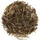 Bian Xu | Knotweed | Polygonum Aviculare  |  扁蓄