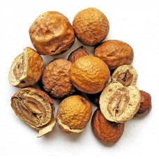 Chuan Lian Zi | Jin Ling Zi | Sichuan Chinaberry Fruit | Melia    |   川楝子