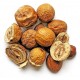 Chuan Lian Zi | Jin Ling Zi | Sichuan Chinaberry Fruit | Melia    |   川楝子