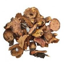 Di Yu | Burnet Root   |   地榆