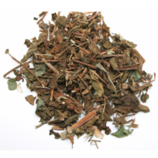 Dong Ling Cao | Rabdosiae   |   冬凌草