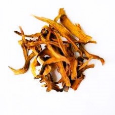 Gu Sui Bu | Drynariae | Drynaria Fortunei   |   骨碎補