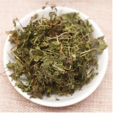 Hai Jin Sha Cao | Lygodii   |   海金沙草