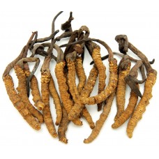 Cordyceps Pills | Dong Chong Xia Cao     |    冬虫夏草