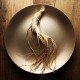 High Quality Gourmet Dried Herbs   |   优质美食干草药