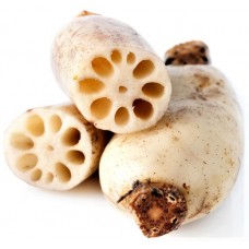Lian Qu | Nelumbo Nucifera | Sacred Lotus Root |   蓮藕