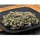 Xiao Ji | Herba Cirsii  |  小蓟