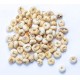 Chuan Bei Mu | Fritillaria Bulb   |   川北牧