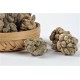 Tian Chi | San Qi Ginseng | Notoginseng  |  天池人参