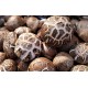 Dong Gu | Shiitake Mushroom | Lentinus Edodes   |   冬菇
