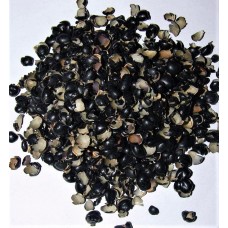 Hei Dou Yi | Lu Dou Yi | Seed-coat of Black Soybean   |   穞豆衣