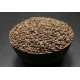 Sha Yuan Zi | Milk Vetch | Astragalus Seed   |   沙苑子