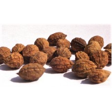 Yi Zhi Ren | Galangal Fruit  |  益智仁