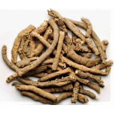 Yuan Zhi | Yuan Chih | Polygala Root | Thin-Leaf Milkwort Root  |  遠志