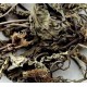 Che Qian Cao | Plantain   |   車前草
