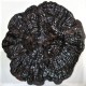Ling Zhi Hei | Ganoderma Mushroom | Reishi Black Whole   |   靈芝黑