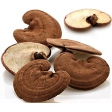 Ling Zhi Hong | Ganoderma Mushroom | Reishi Red Whole   |   靈芝紅