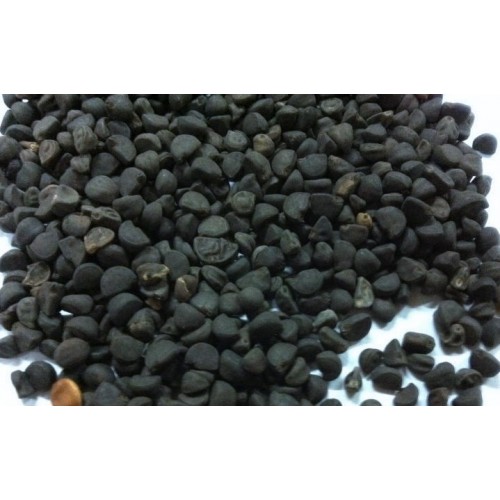 Qian Niu Zi Semen Pharbitidis 