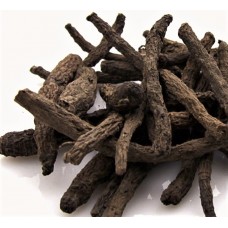 Xian Mao | Immortal Grass | Curculigo   |   仙茅