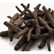 Xian Mao | Immortal Grass | Curculigo   |   仙茅