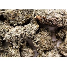 Yin Chen Hao | Herba Artemisiae Scopariae  |  茵陳蒿