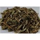 Ze Xie | Rhizoma Alismatis | Oriental Water Plantain |  澤瀉