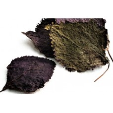 Zi Su Ye | Perilla Leaf | Perilla Frutescens   |  紫蘇葉