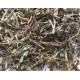 Bian Xu | Knotweed | Polygonum Aviculare  |  扁蓄
