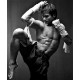Article | Iron Fist 101 | By Thomas Richard Joiner  |  铁掌资料