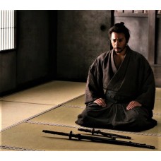 Article | Harmonizing the Emotions | By Thomas Richard Joiner   |   控制你的情绪