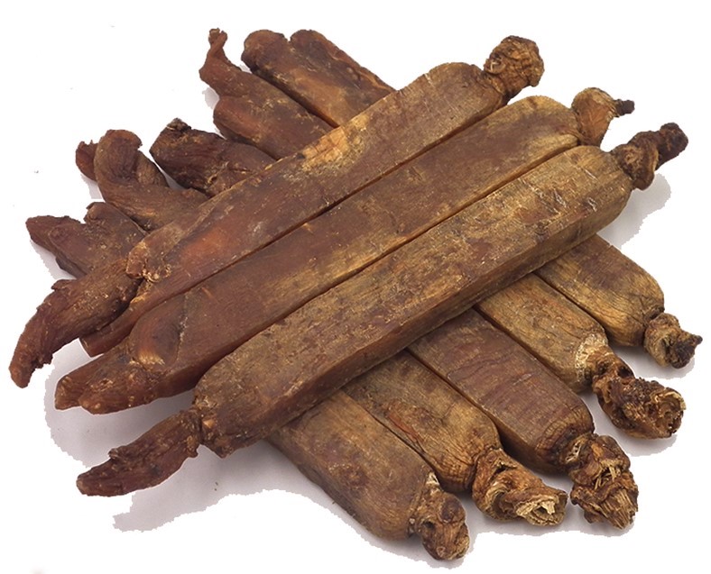 root What is asian ginseng