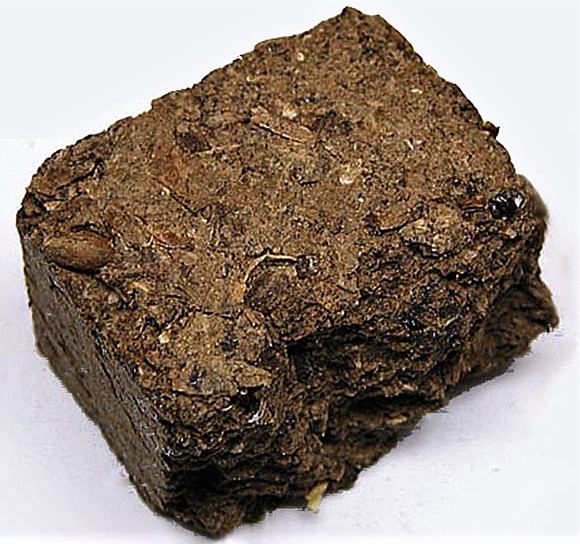 Shen Qu Liu Shen Qu Massa Fermentata